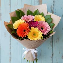 Букет цветов из:  Герберы в Наволоках