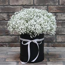 Цветочная композиция из Гипсофила в шляпной коробке в Наволоках